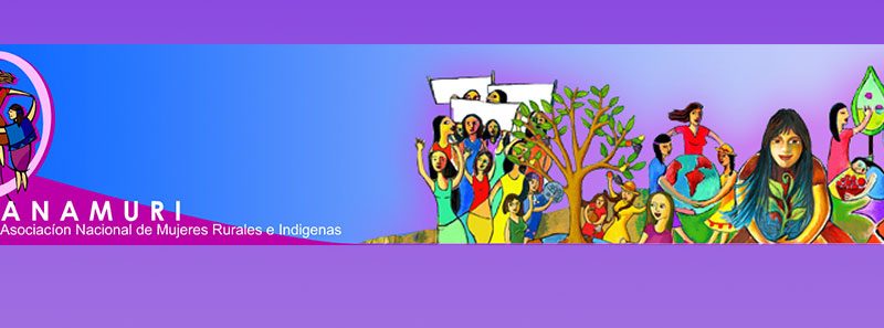 Estudio Fortaleciendo la visibilidad y la validez de Mujeres Rurales e Indígenas: El caso del Tribunal Ético de ANAMURI en defensa de la igualdad de género, la salud y los derechos humanos de las trabajadoras y mujeres agrícolas.